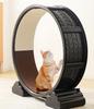 Large Cat Fitness Treadmill: Silent Rollers, Fiberboard Tree, Paw Grips, and Pet Toys