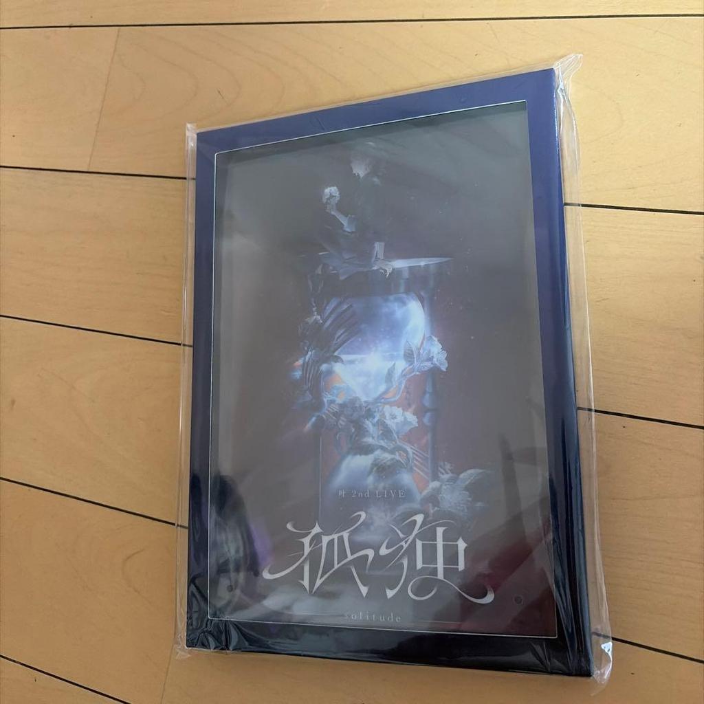 Used Nijisanji Kano 2nd LIVE Solitude Acrylic Panel