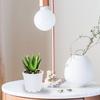 5Pcs Thick Plastic Flower Pot Mini Succulent Plant Pot Breathable Comfortable Home Office Balcony Decorative Flowerpot
