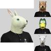 Adorable Animal Head Masks Collection Featuring Classic Designs For Festive Events And Themed Parties