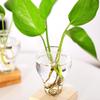 Retro Style Pear Vases w/Wooden Stand Decorative Hydroponic Planter Home Decor
