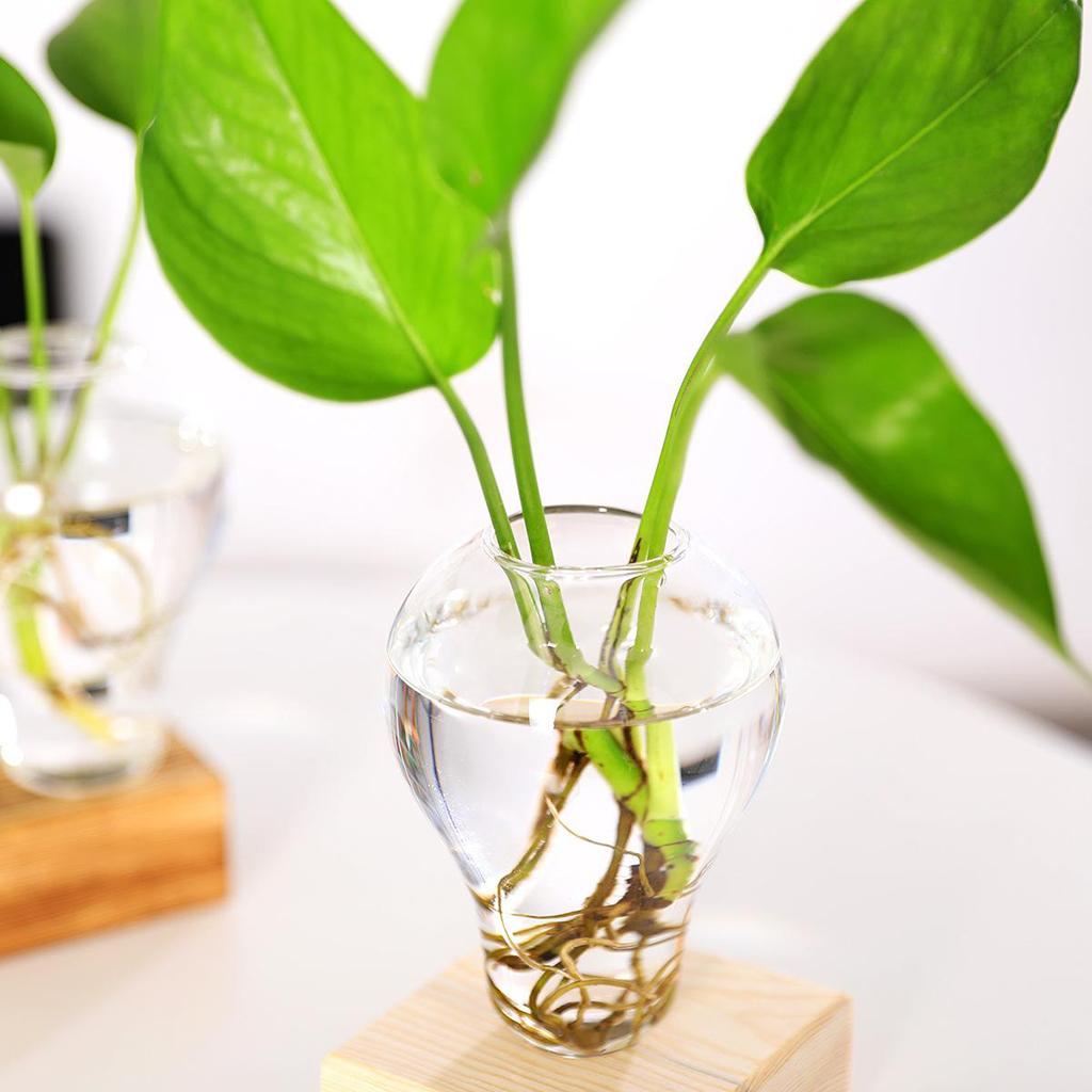 Retro Style Pear Vases w/Wooden Stand Decorative Hydroponic Planter Home Decor