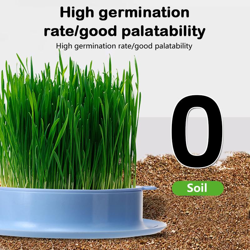 Minze Katzengras Topf Erdlose Hydrokultur Faule Katzengras Pflanzbox Katzenminze Fördert die Verdauung Katzensnacks Pflanzbehälter Werkzeuge