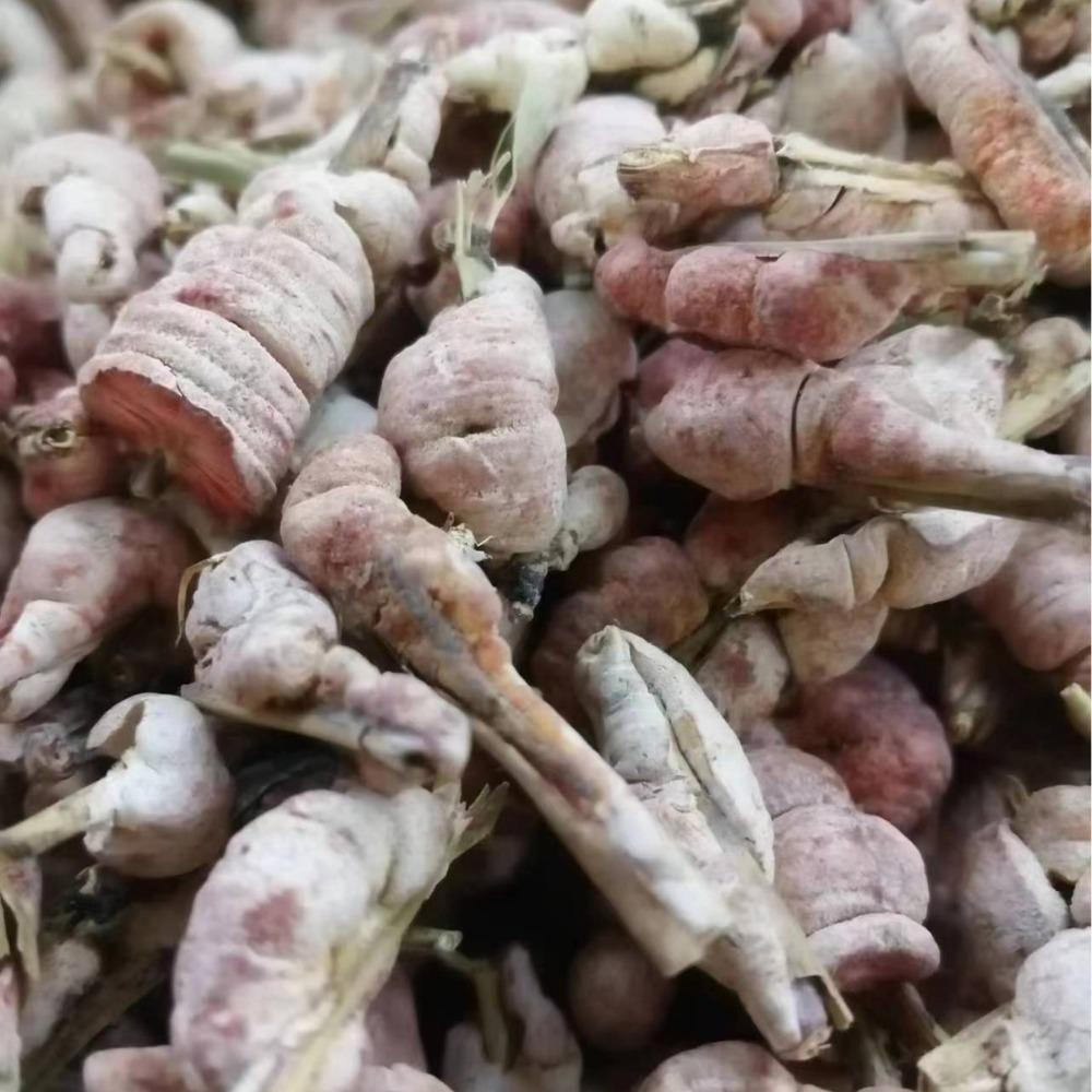 Bamboo flower, bamboo yellow, sulfur-free and heterogeneous powder, Chinese herbal medicine bamboo flower, all kinds of cold back retail hair