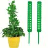 Coconut Fiber Moss Pole for Plant Support & Shaping