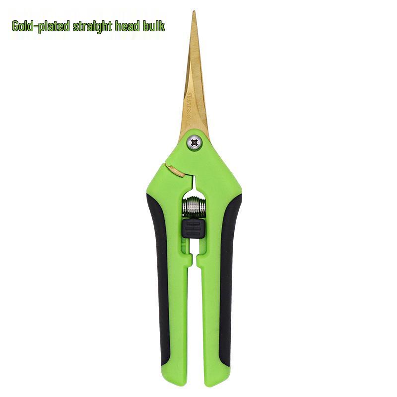 Stainless Steel Straight Head Pruning Shears for Flowers, Branches, and Fruit Trees.