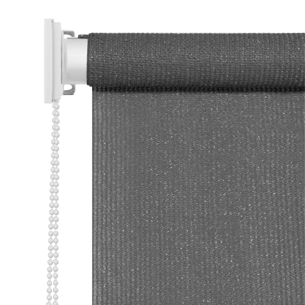 Outdoor Roller Blind 60 x 230 cm Anthracite