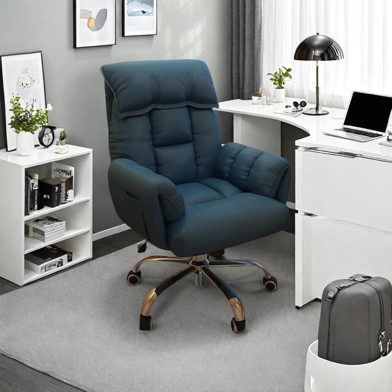 Computer chair, sofa chair, lazy home, sedentary study chair, ergonomic chair, backrest, reclining desk chair
