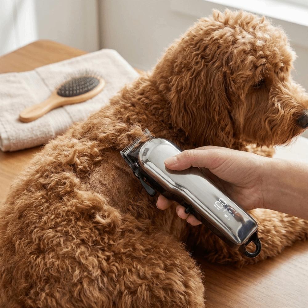 Rechargeable Electric Dog Hair Clipper Low Noise Detachable Pet Hair Trimmer Long Battery Life Professional Cat Grooming Shaver