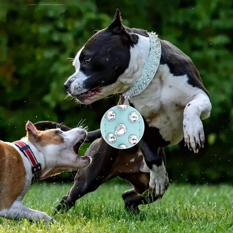 1pz Collare in Pelle PU Borchiato per Animali Domestici, Regolabile per Cani di Taglia Piccola-Media, Sicuro per Uso Esterno