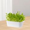 Sprout Tray Planting Pot White Base Plate Vegetable Planter Germination Nursery for Home