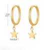 European and American star flower earrings, women's gold love earrings jewelry