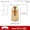 Brass Female NPT Flaring Straight Connector for Copper Oil Pipe Pressure Gauge