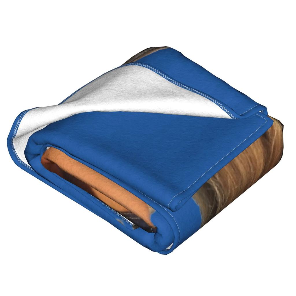 Super Soft Sabrina Carpenter Short N' Sweet Tour Throw Blanket Premium Fleece Flannel Lightweight  Bed Blanket All Season Use