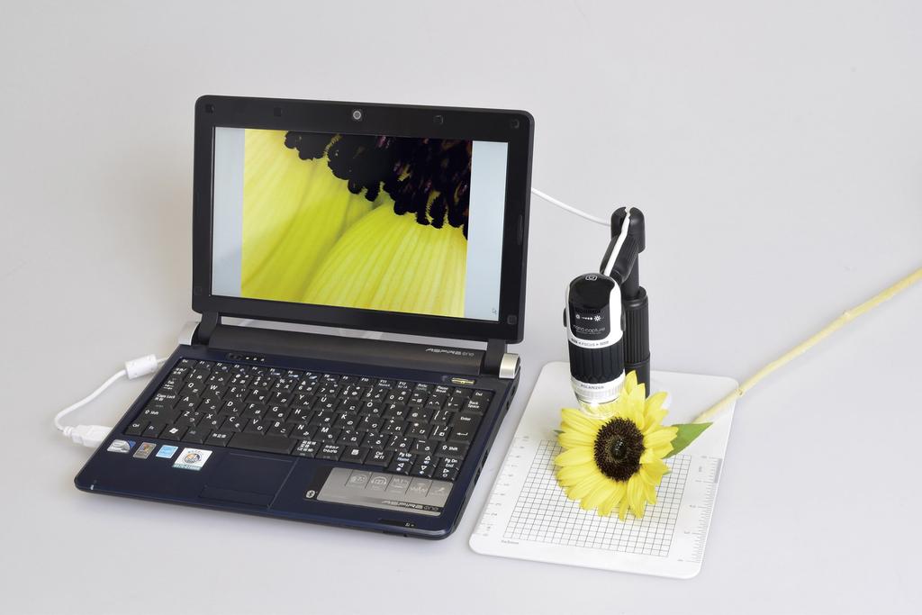 SIGHTRON (SIGHTRON Japan) USB Microscope, 60x and 250x Magnification, Android Compatible, Digital Microscope with nano.capture PRO, Magnification,