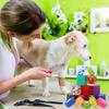 Bandagem Elástica Adesiva para Patas de Animais para Cães - Fita de Proteção Não Tecida para Exterior