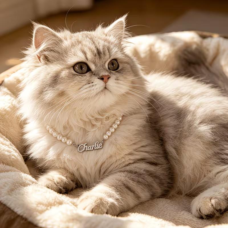 Custom Stainless Steel Name Cat Dog Pet Necklace Personalized Fashion Gorgeous Pearl Chain Suitable for Daily Pet Wear