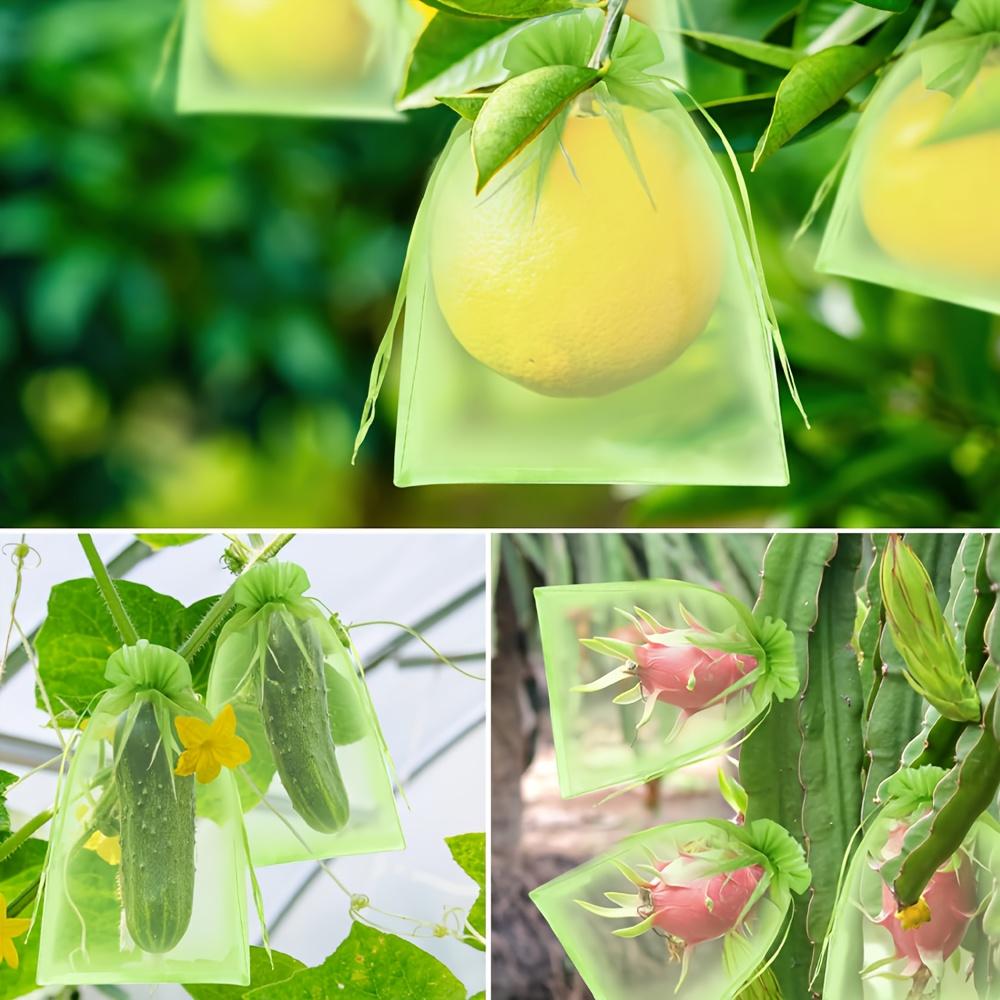 100 Stück Wiederverwendbare Obstgarten-Netzbeutel für Pflanzenschutzbeutel - Atmungsaktives Organza mit Kordelzug-Netzbeuteln, Insekten- und Vogelschutz