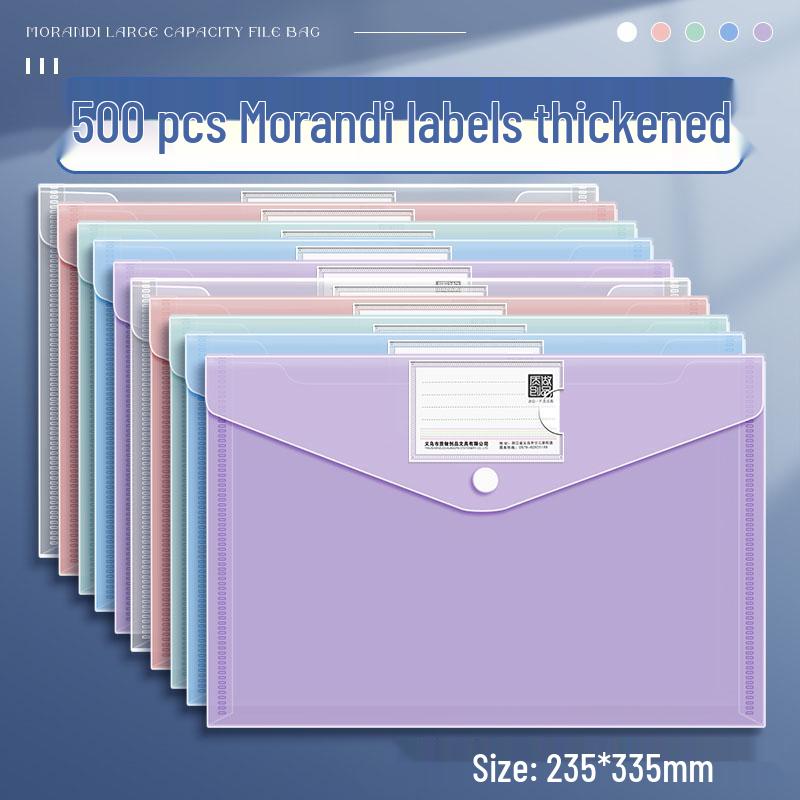 Transparent A4 File Bag, Large Capacity Snap Button, Test Paper & Document Storage for Students