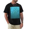 Bubbles T-shirt Lyxig herr grafisk t-shirt anime grejer pojkar djurtryck stora och långa t-shirts för män