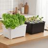 6 Holes Hydroponic Grower Kit Plastic Self Watering Soil-Free Planting Box Planting Container Thicken Versatile Cultivation Box