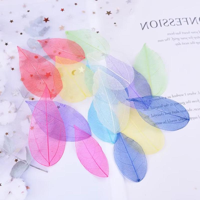 Dried Flowers Natural Skeleton Leaf Vein DIY Handmade Materials Nail Art Flowers Material for Wedding Party Home Decor-20/24pcs