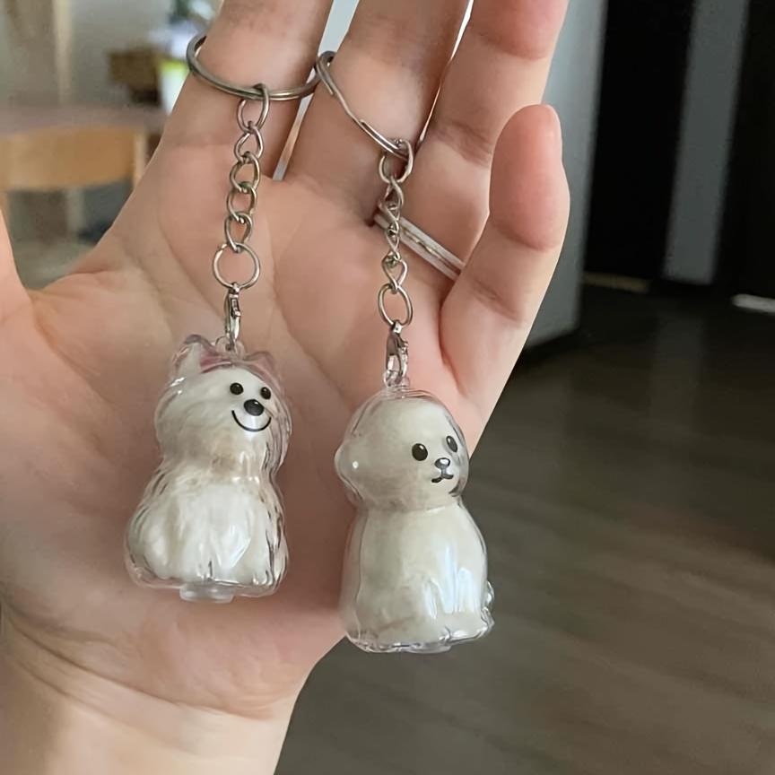 2 Stück Transparente Aufbewahrungsbox für Tierhaare - Gedenkkapsel für Hunde, Flasche mit Schlüsselanhänger als Andenken an Haustierhaare - Geschenk für Haustierbesitzer