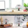 Birthday Gift from Sister To Sister Brother To Sister Friendship Gift; Acrylic Tree-shaped Desktop Sign Home Decor.
