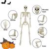 40CM Scary Human Shape Skeleton - DIY Halloween Horror Props, Haunted House Indoor Outdoor Decoration