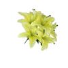 7 Large Artificial Lily Flowers in 3D Printing Form - Decorative Items for Wedding, Home, Hotel and Display in Windows, Fake Flowers