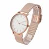 Skagen Women's HALD Watch SKW2714, Silver Dial, Rose Gold Mesh, Stainless Steel