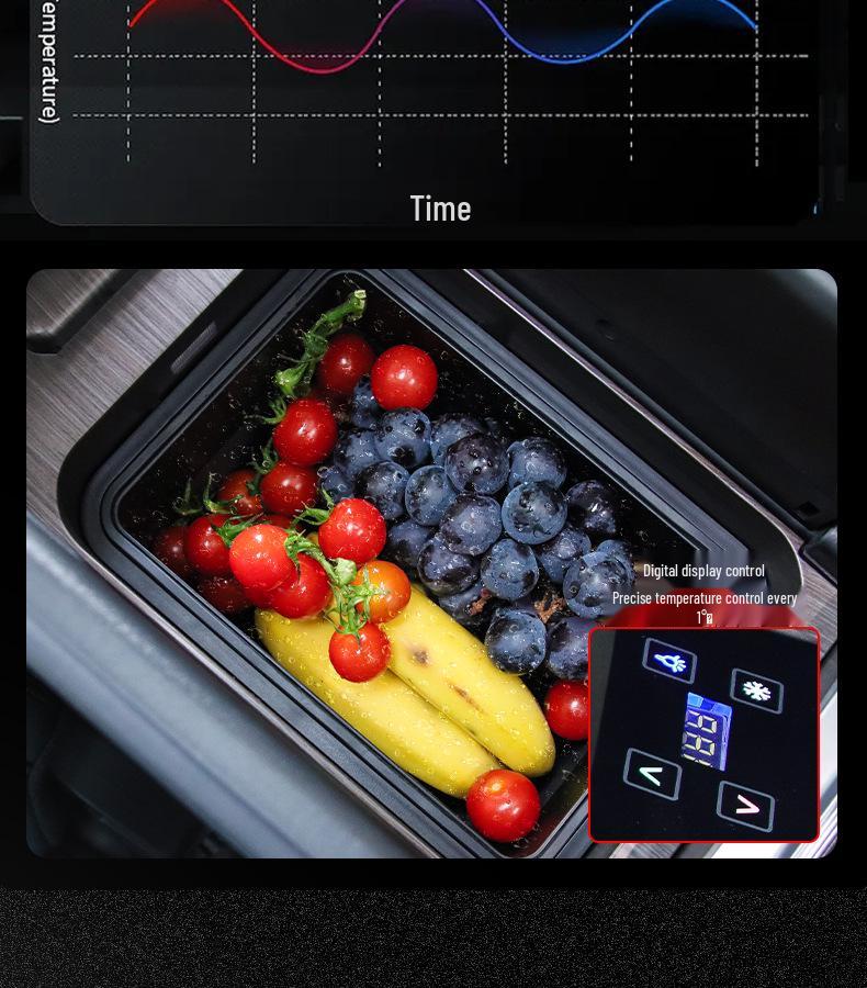 Odyssey & Elysion Armrest Box for 2015-2022 Models - Custom Interior Modification