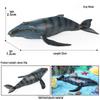 Children's Marine Animal Cognitive Model: Shark, Megalodon, Tiger Shark - Desktop Toy Ornament