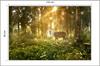 Photomural Deer In The Forest In The Morning Non-Woven 135x90