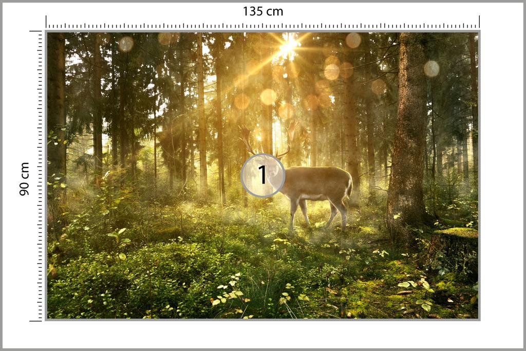 Photomural Deer In The Forest In The Morning Non-Woven 135x90