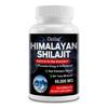 Daitea Himalayan Shilajit Supplement, 60,000 MG, 120 Capsules