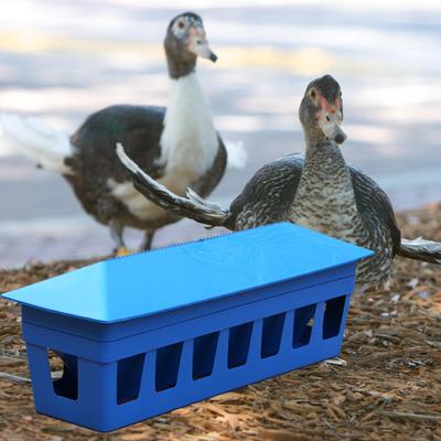 Vogels – Vogelvoer- en drinkbakken