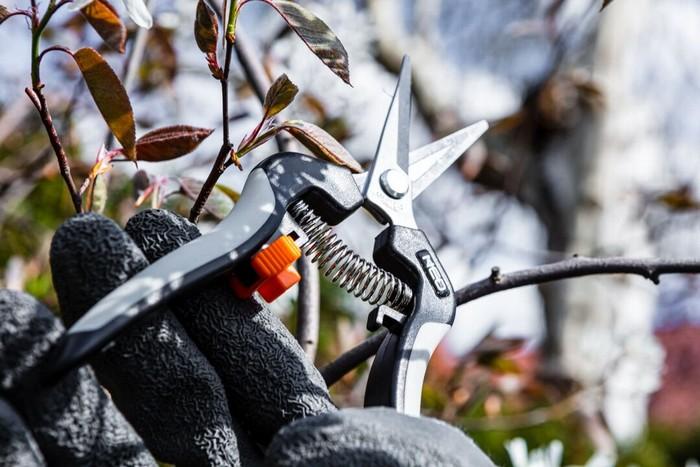 Pruning shears for young shoots 185mm, range up to 6mm. - T N15-207