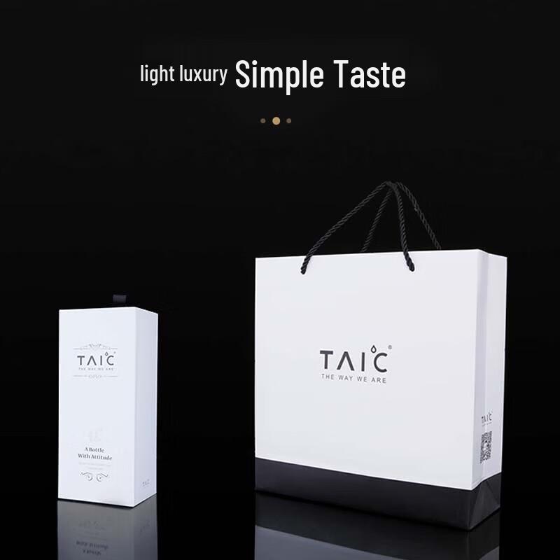 TAIC Pure Titanium Vacuum Insulated Mug with Tea Filter
