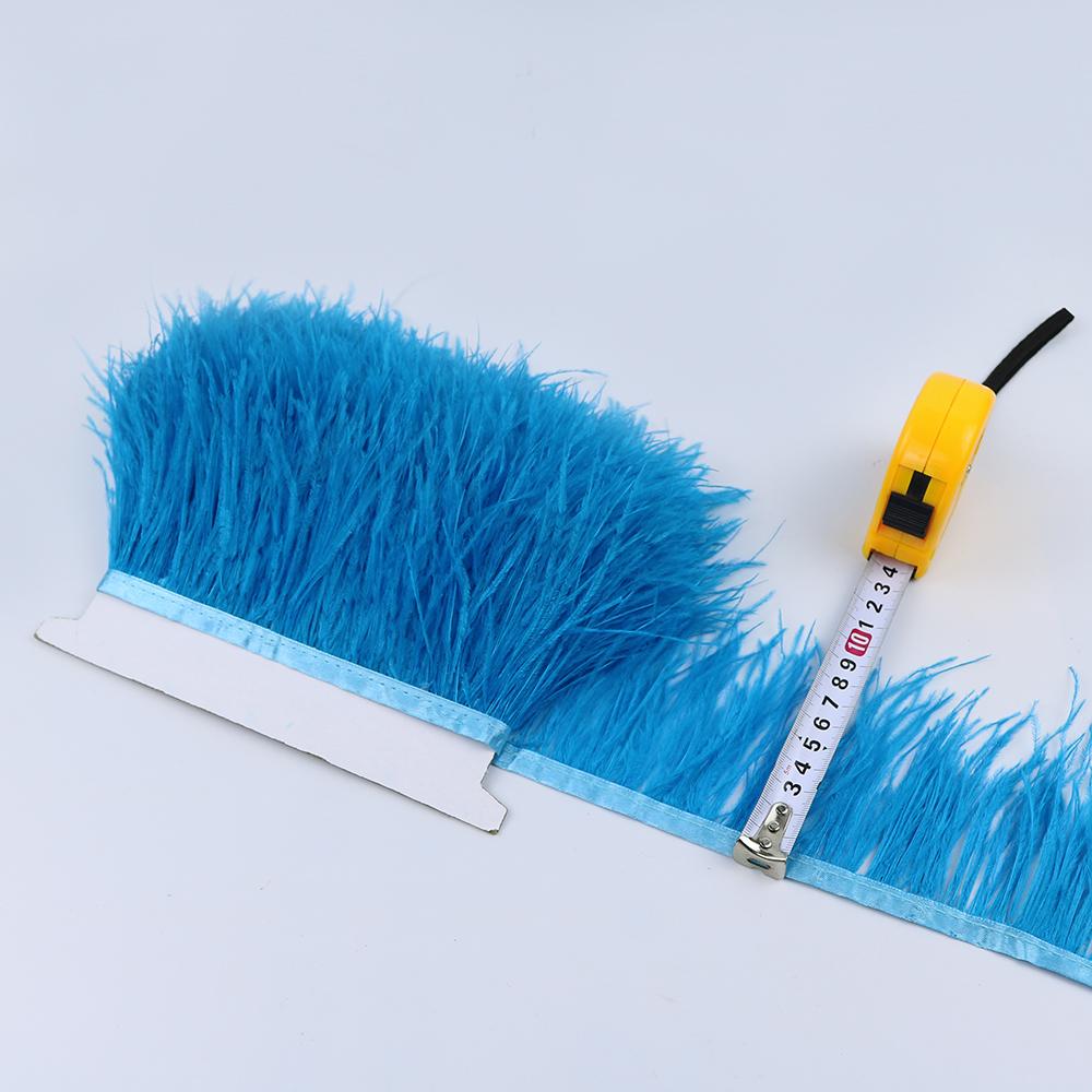 Feather1Meter 8-10cm Ostrich Feather Trim Fringe Ribbon Lake Blue for Dress Clothes Sleeve Decoration Sewing Plumes Fabric Fashion