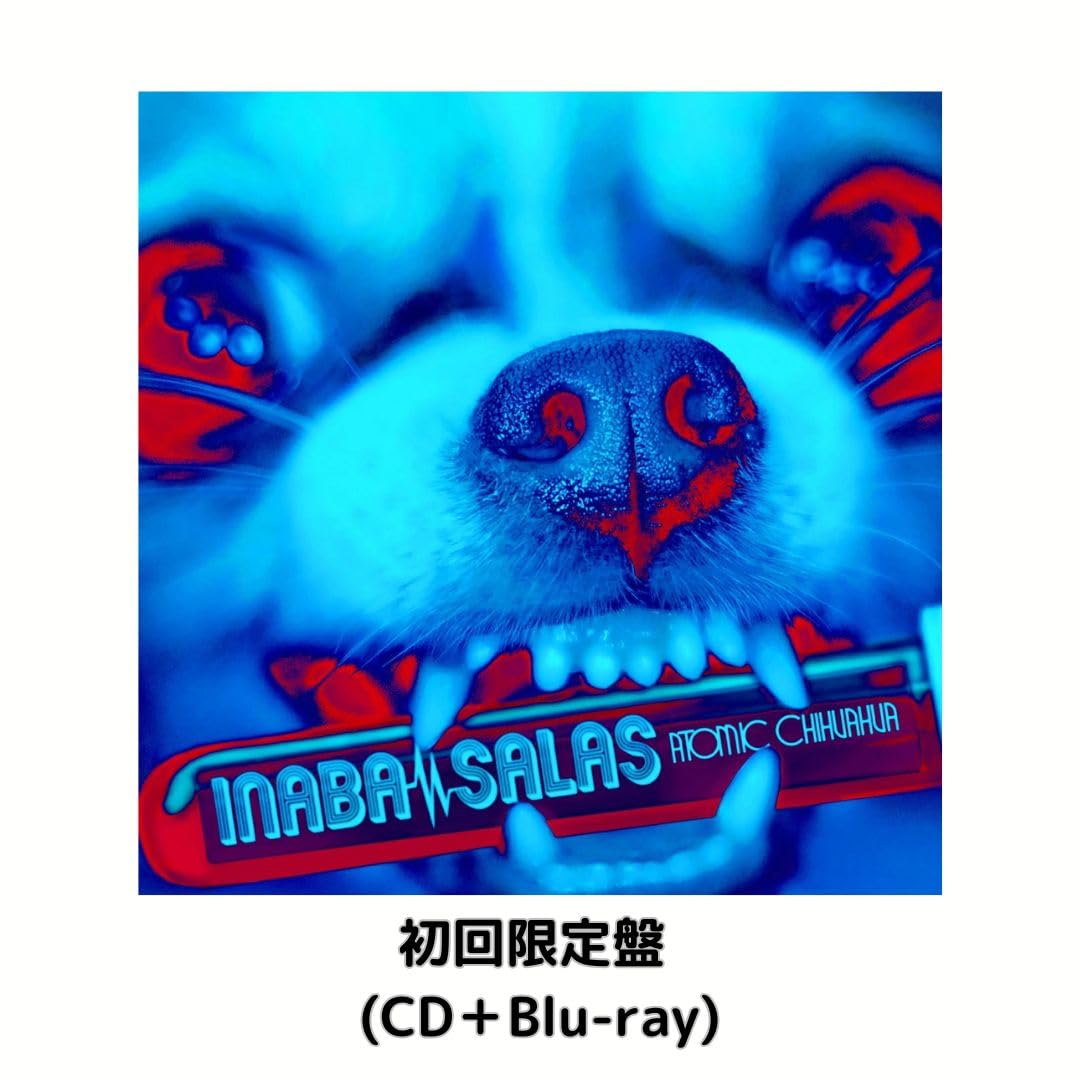

пресс лимитированное издание Koshi Inaba CD [Первое издание] [Ограниченное] (акриловый брелок) включено] INABA/SALAS ATOMIC CHIHUAHUA (Blu-ray издание)