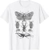 Insect Bug Collection Shirt Moth Stag Beetle Cicada T Shirt