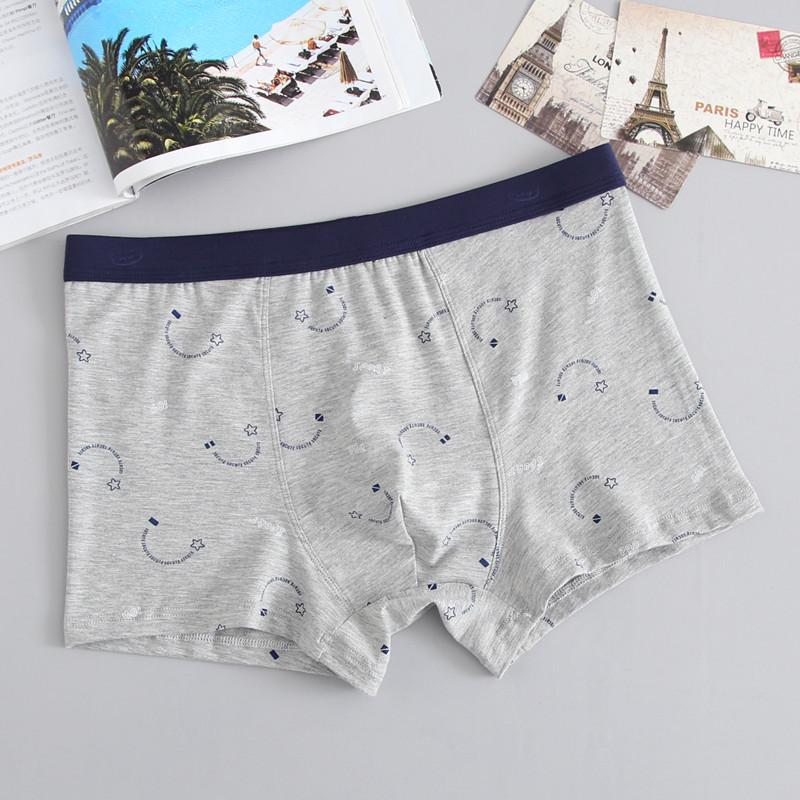 Sexy Herrenunterwäsche aus Baumwolle, atmungsaktiv, mit Aufdruck, Übergröße, flache Unterhose für Männer, mittlere Taille, lockere Passform, dicke Kerle, Jugendliche, Höschen mit vier Ecken