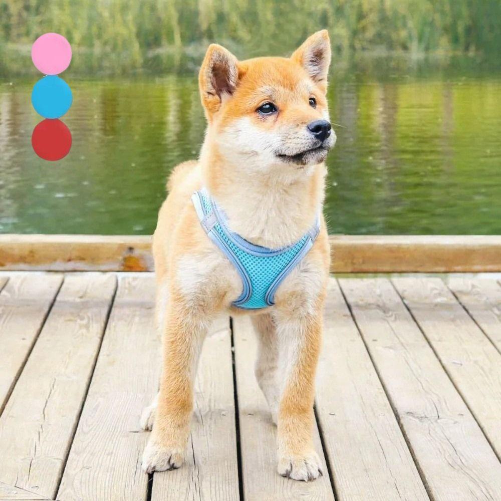Adjustable Cat Harness Vest Reflective Pet Collar Harness Practical Dog Chest Strap  Pet Training