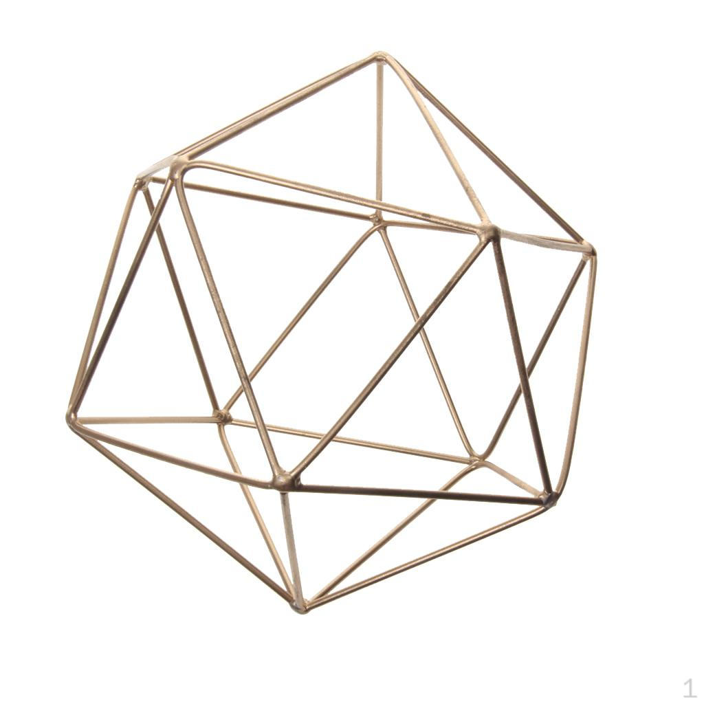 Tillandsia Air Plant Rack Planter Wedding and garden Hanging Décor