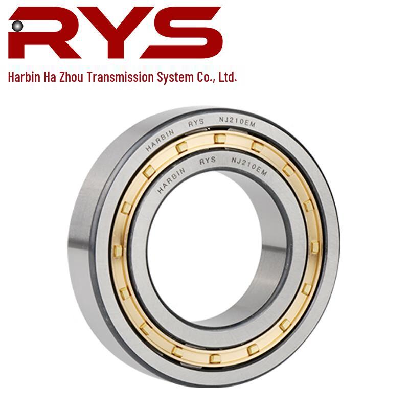 RYS Cylindrical Roller Bearing NJ1009EM
