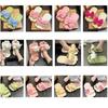 Cute Cartoon Summer Slippers For Women Yugi Dog, Bouding Dog, And Strawberry Bear In Various Colors