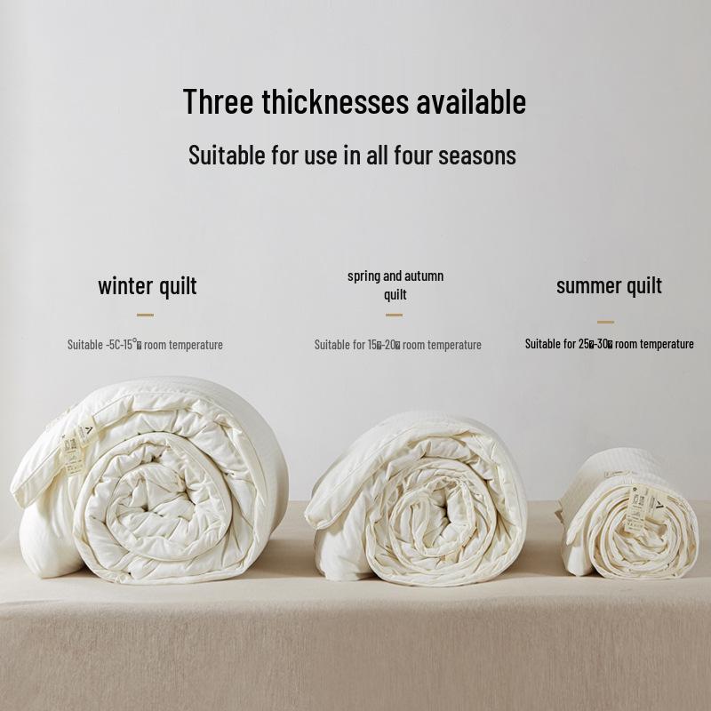 Enhanced 3D Soybean Fiber Quilt - Versatile for Spring, Autumn & Winter, Perfect for Dorms & Home