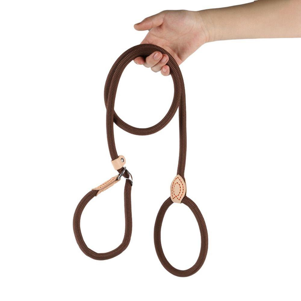 Adjustable Loop Collar Dog Leash Slip Rope  for Small Medium Large Dogs