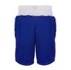 Adidas Boxing Trunks ADIBTS02 180 (Blue, / L)